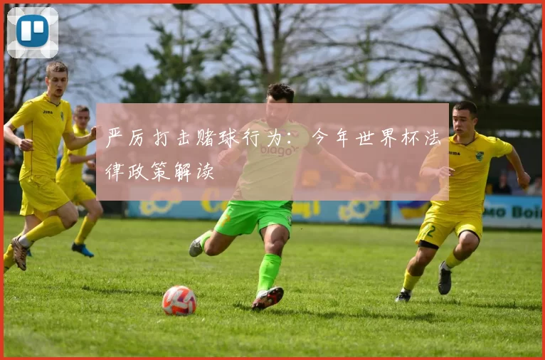 严厉打击赌球行为:今年世界杯法律政策解读