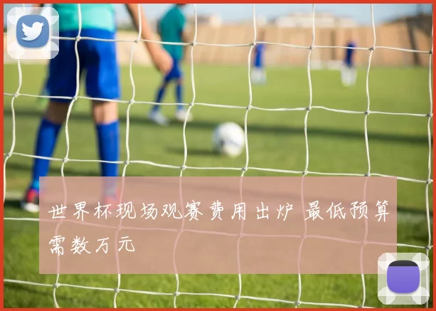 世界杯现场观赛费用出炉 最低预算需数万元