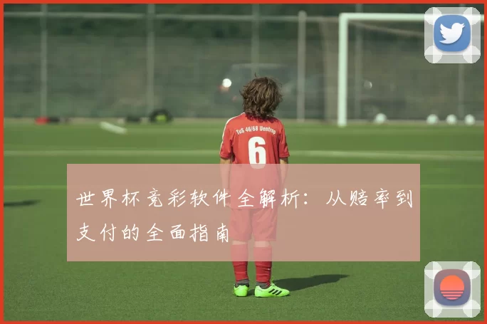 世界杯竞彩软件全解析:从赔率到支付的全面指南