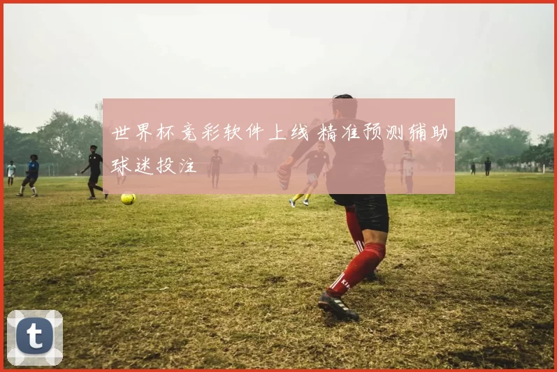 世界杯竞彩软件上线 精准预测辅助球迷投注
