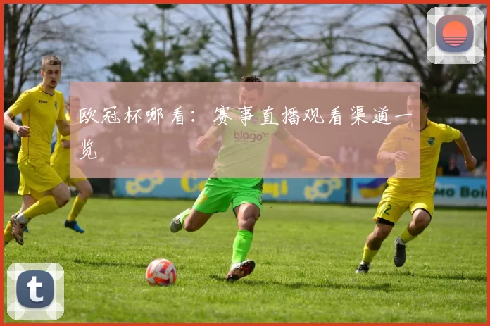 欧冠杯哪看:赛事直播观看渠道一览
