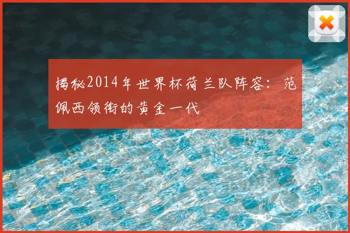 揭秘2014年世界杯荷兰队阵容:范佩西领衔的黄金一代