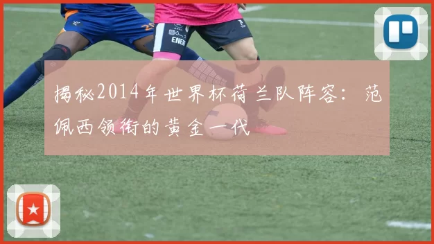 揭秘2014年世界杯荷兰队阵容:范佩西领衔的黄金一代